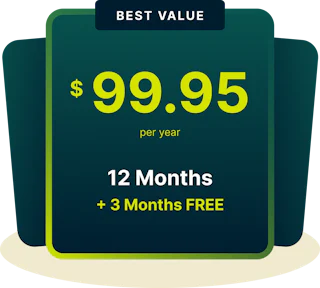 Stylized 12-month plan card for Google merchant center page.