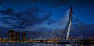 The city of Rotterdam.